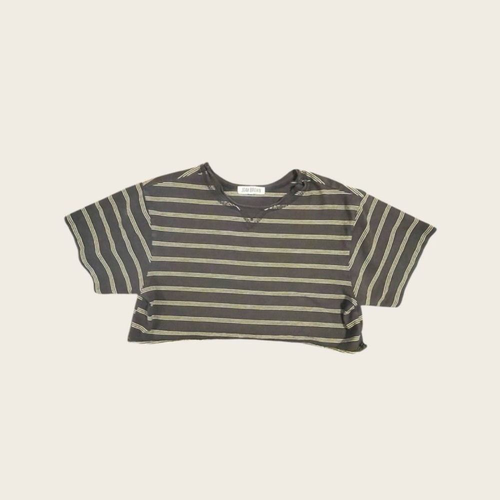 Joah Brown Striped Cropped Tee!